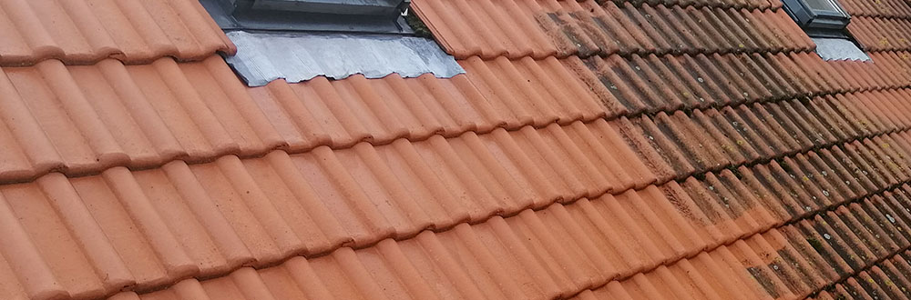 Čištění a nátěry střech